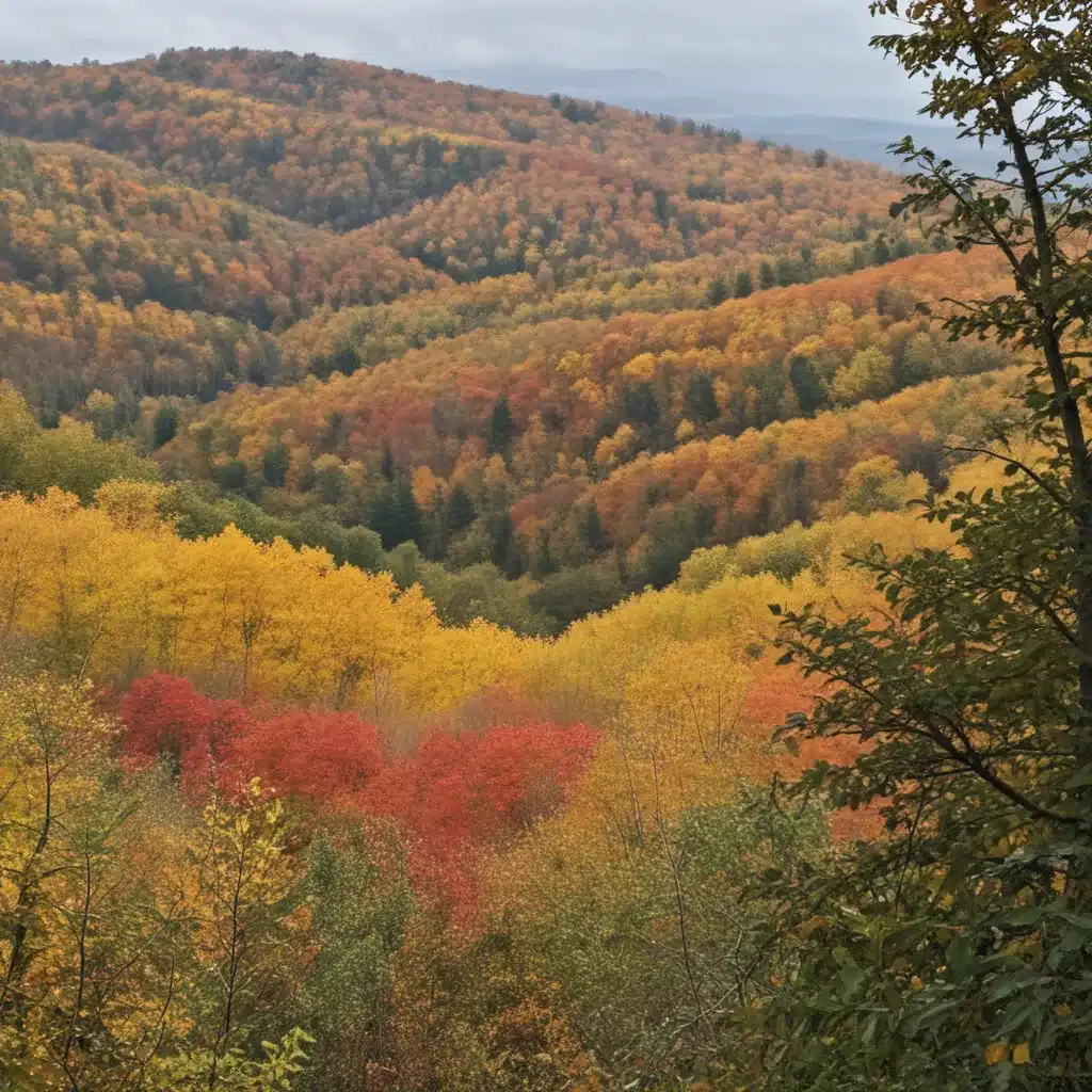 Fall Colors at Eagle Ridge