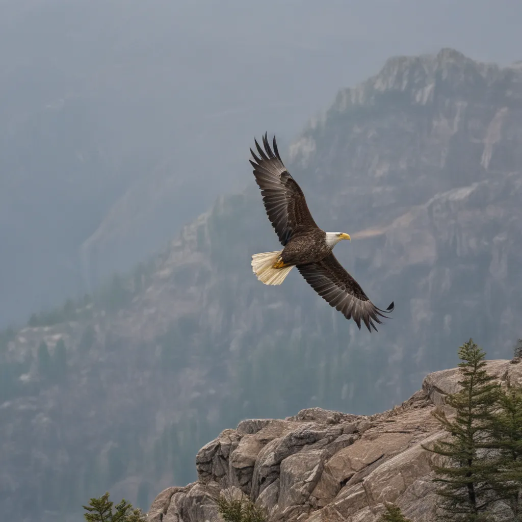 The Eagle Soars Above the Ridges